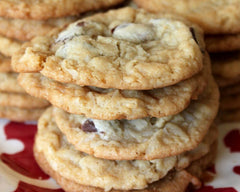 Coconut Chocolate Chip